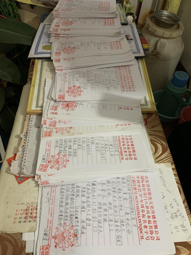 向阳用案例说话 起名实力