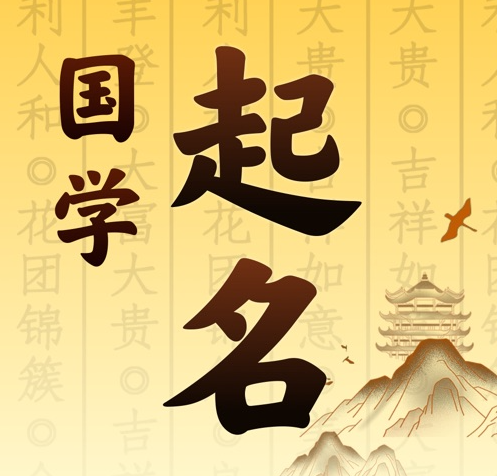 向阳国学起名 人工起名一对一
